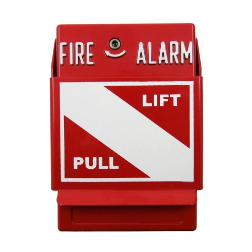 RSG RMS-1T-LP-NY Dual-action Manual Pull Station